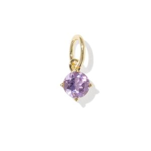 Maisie 18k Gold Vermeil February Birthstone Charm
