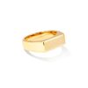 Hudson Signet Ring in 18k Gold Vermeil