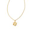 Star of David Pendant Necklace in Gold